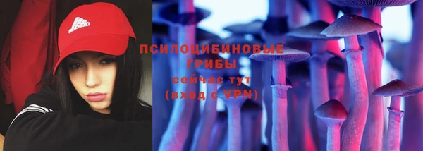 тгк Абаза