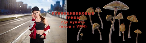стафф Алексеевка