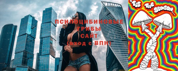 стафф Алексин
