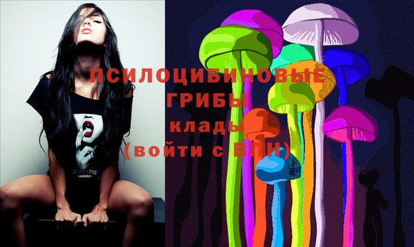стафф Алексеевка