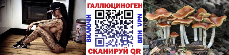 Галлюциногенные грибы мухоморы  Узловая 