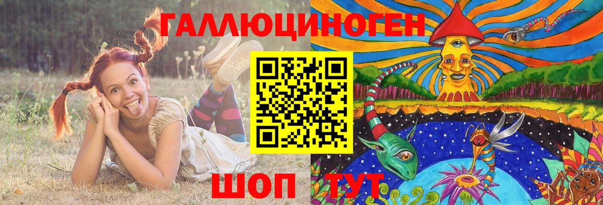 Галлюциногенные грибы Cubensis Узловая
