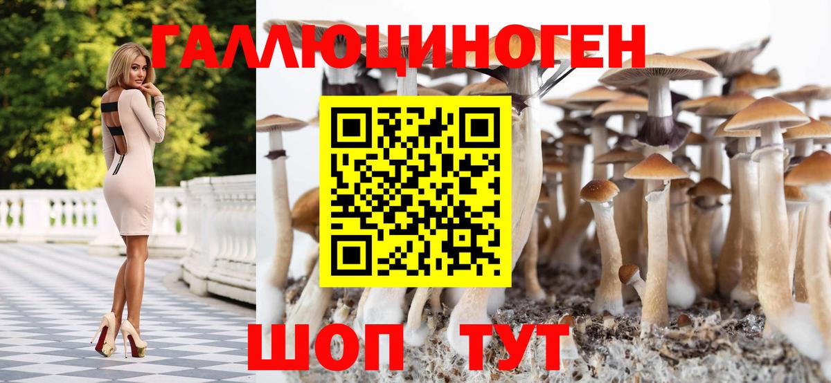 Узловая  Галлюциногенные грибы Psilocybe  Вход с VPN 